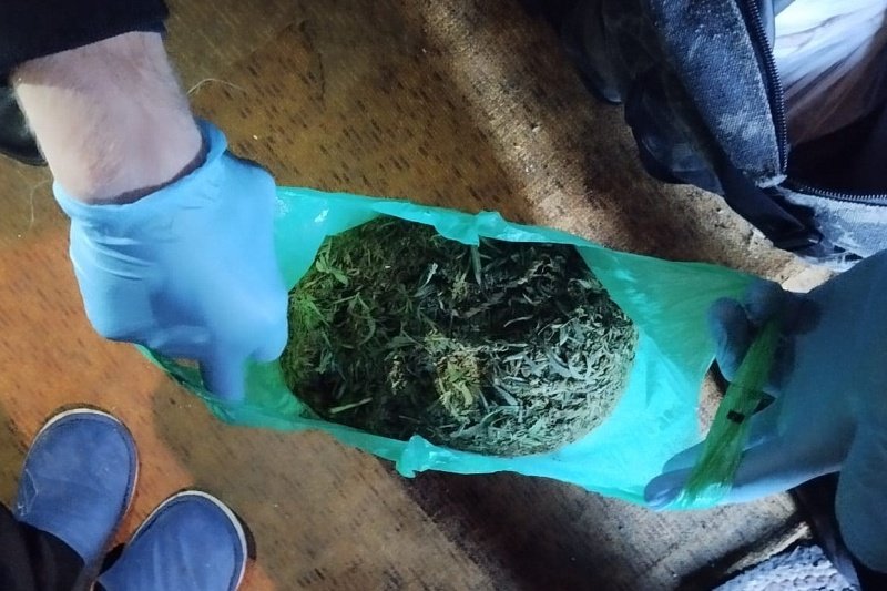 В Катайском округе сотрудники полиции изъяли растительный наркотик в крупном размере