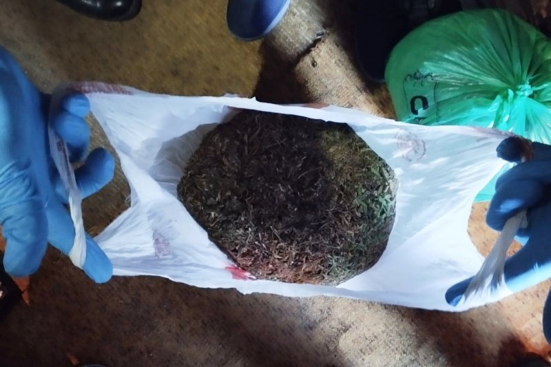 В Катайском округе сотрудники полиции изъяли растительный наркотик в крупном размере
