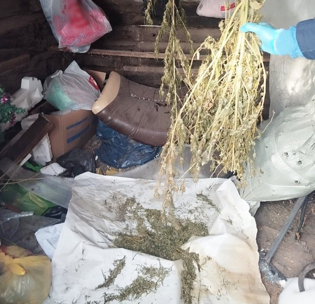 Катайские полицейские изъяли у местного жителя растительные наркотики
